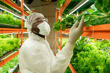 Horticulture