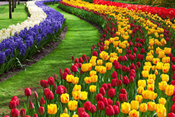 floriculture